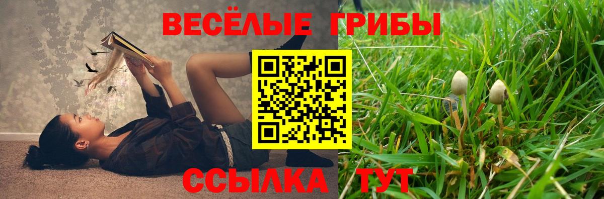 Псилоцибиновые грибы Psilocybine cubensis Петропавловск-Камчатский